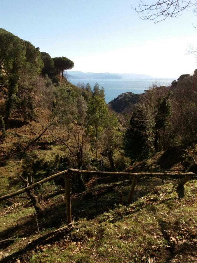 Country House In Mount & Natural Park Holiday home *